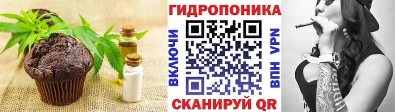 Cannafood конопля  закладки  Берёзовка 