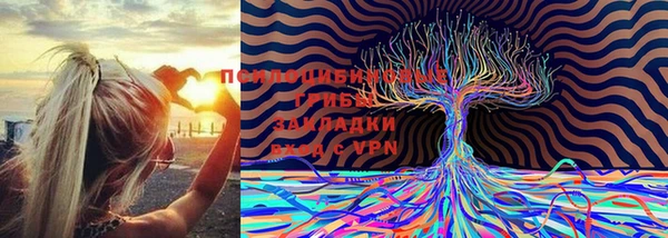 ешки Абдулино