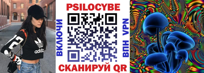 Галлюциногенные грибы прущие грибы  Берёзовка 
